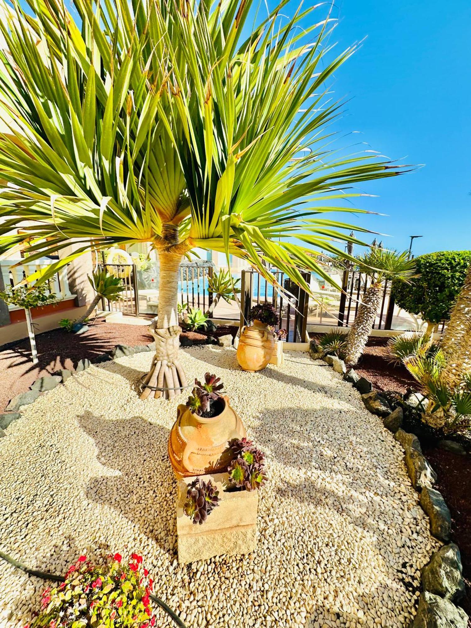 El Nautico Apartment San Miguel de Abona Dış mekan fotoğraf