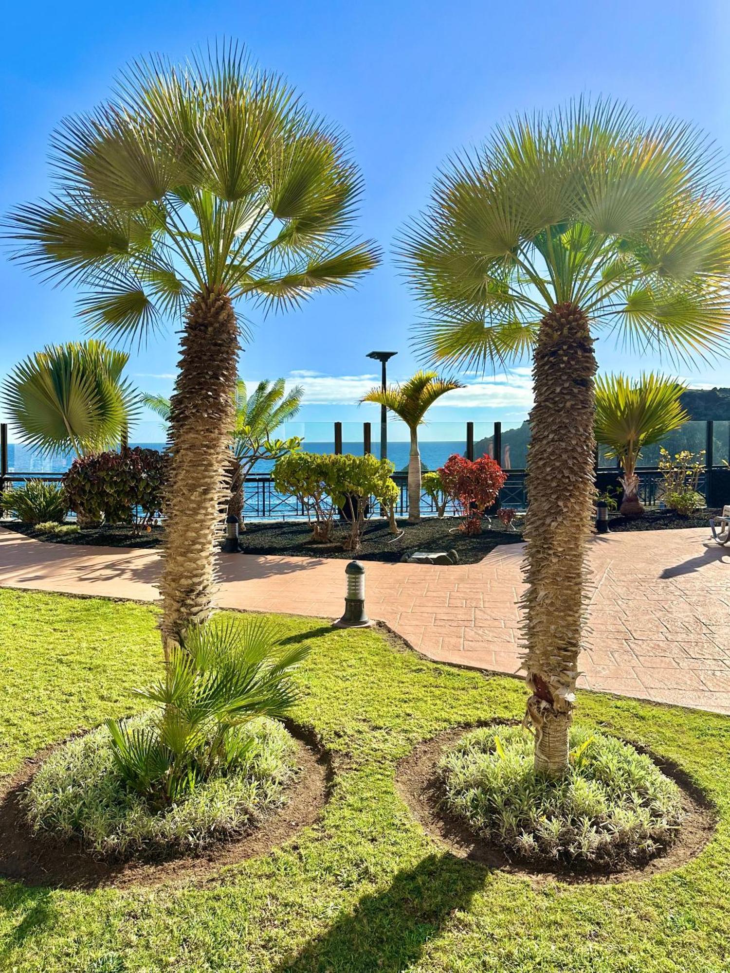 El Nautico Apartment San Miguel de Abona Dış mekan fotoğraf